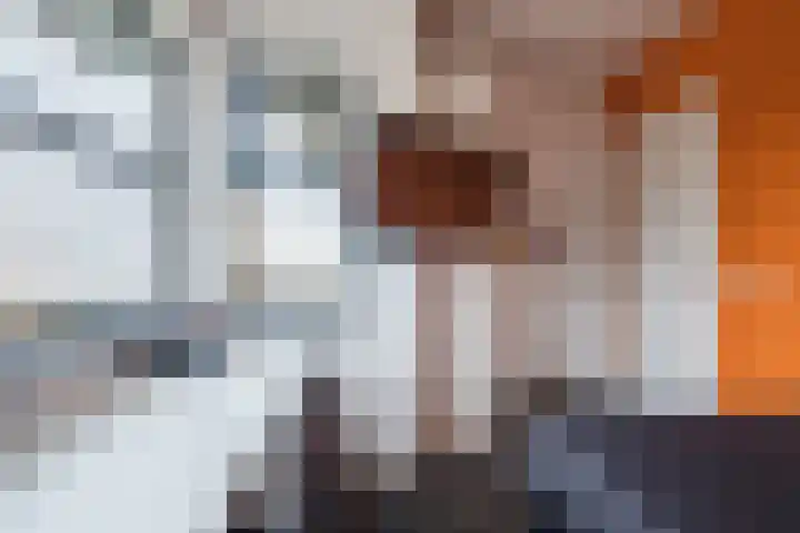 Fliere 54 Gemert thumbnail 25