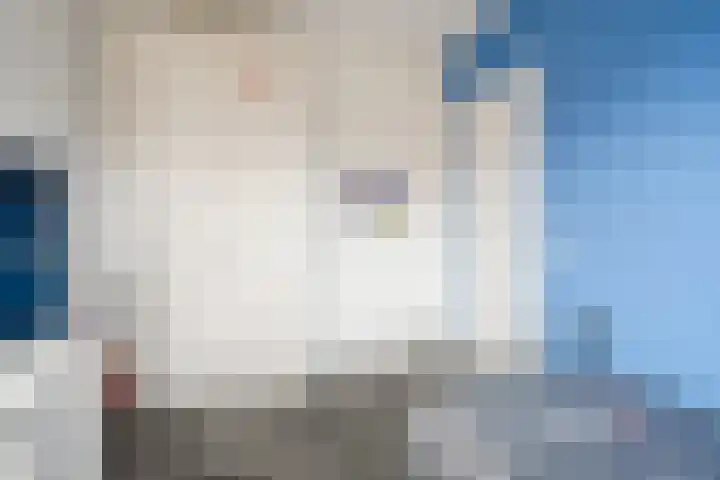 Fliere 54 Gemert thumbnail 27