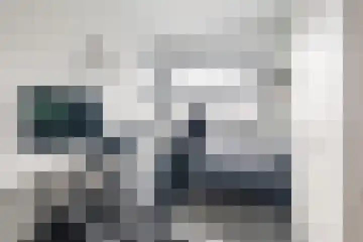 Fliere 54 Gemert thumbnail 28