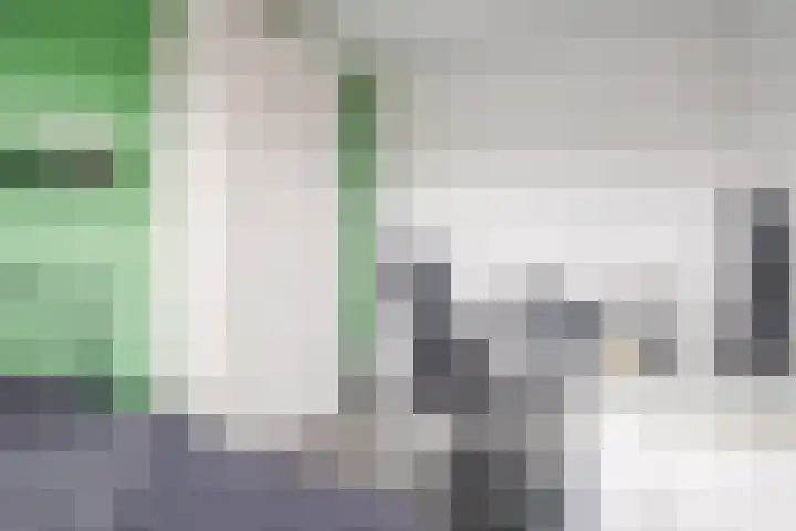Fliere 54 Gemert thumbnail 29