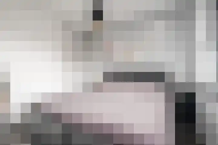 Fliere 54 Gemert thumbnail 30