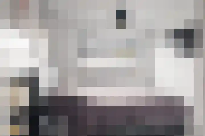 Fliere 54 Gemert thumbnail 31