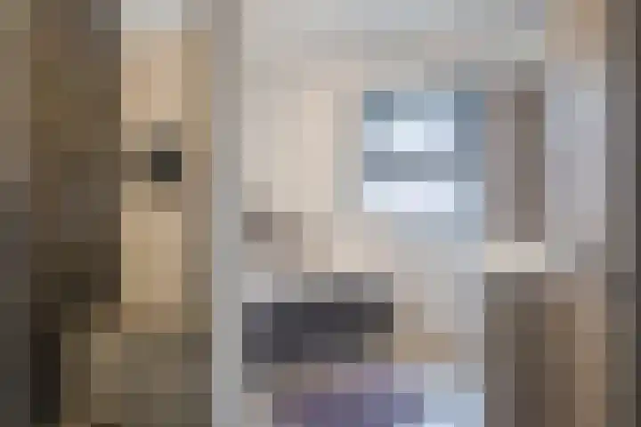 Fliere 54 Gemert thumbnail 32