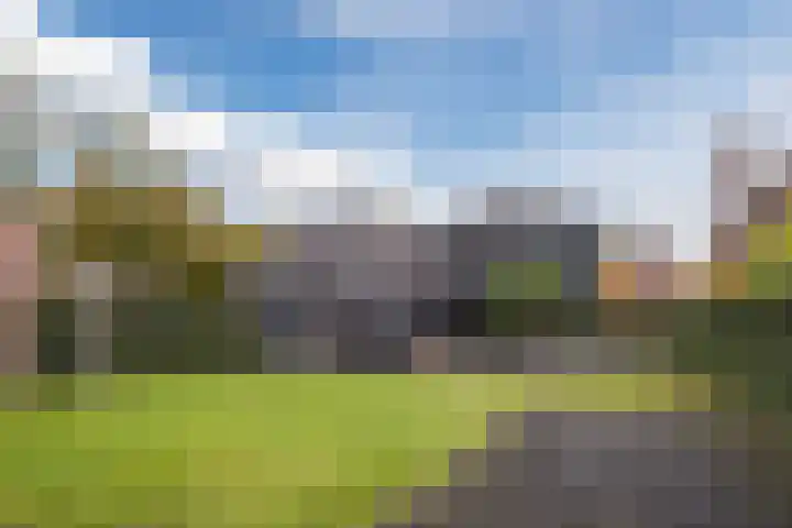 Fliere 54 Gemert thumbnail 35