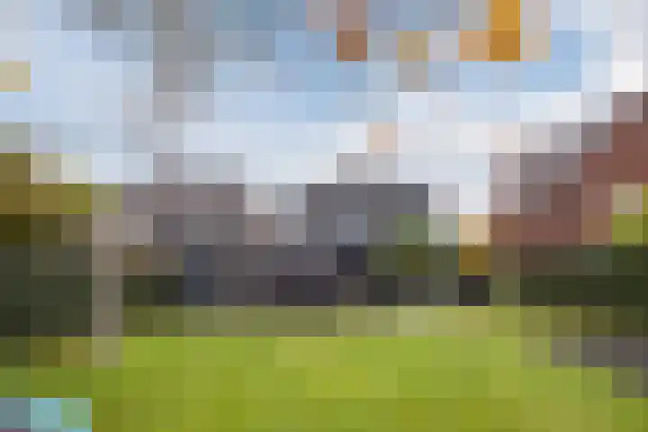 Fliere 54 Gemert thumbnail 36