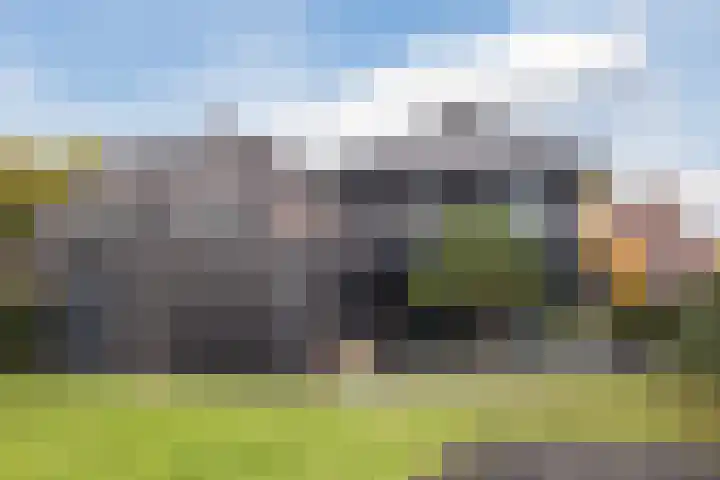Fliere 54 Gemert thumbnail 37