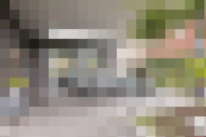 Fliere 54 Gemert thumbnail 38