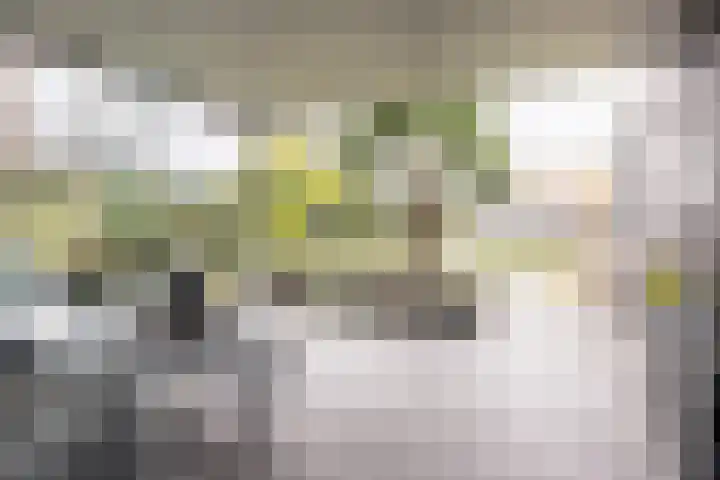 Fliere 54 Gemert thumbnail 40