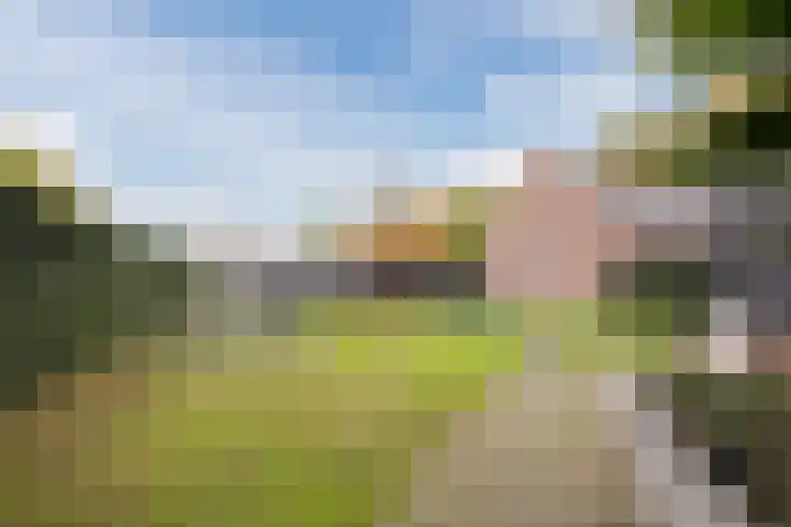 Fliere 54 Gemert thumbnail 41