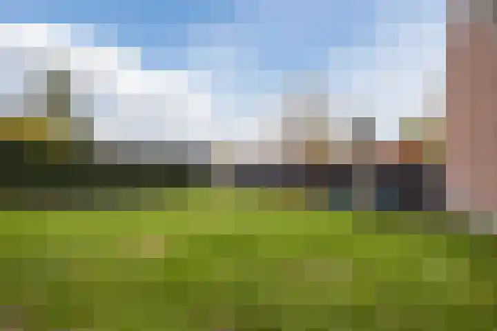 Fliere 54 Gemert thumbnail 42