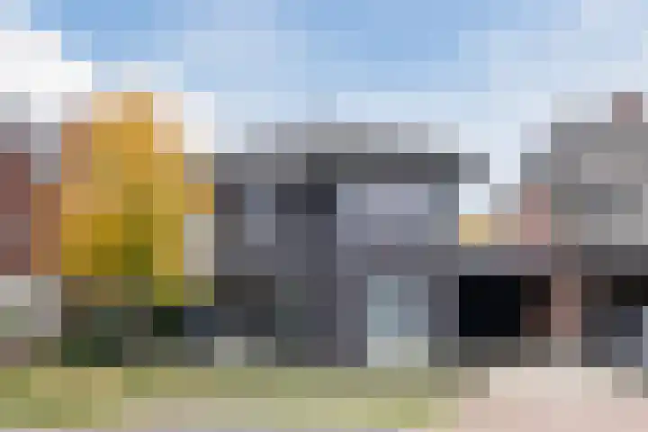 Fliere 54 Gemert thumbnail 43