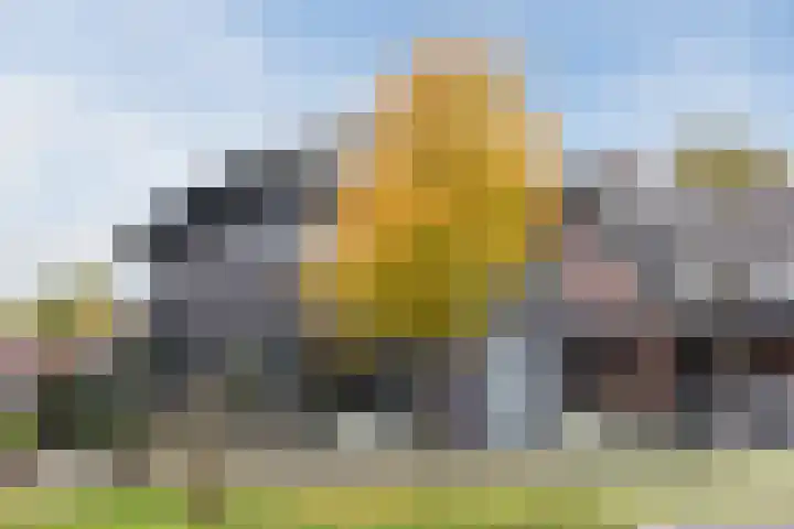 Fliere 54 Gemert thumbnail 44