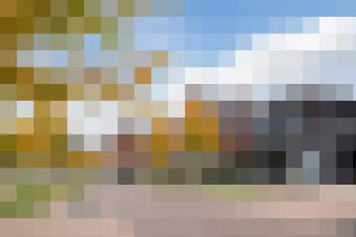 Fliere 54 Gemert thumbnail 45