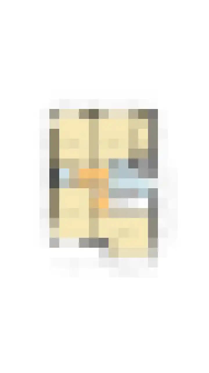 Fliere 54 Gemert thumbnail 47