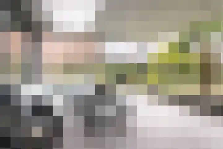 Fliere 54 Gemert thumbnail 5