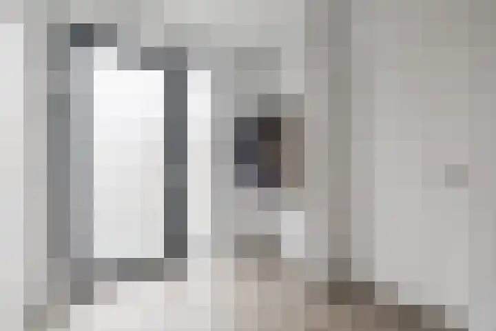 Fliere 54 Gemert thumbnail 6