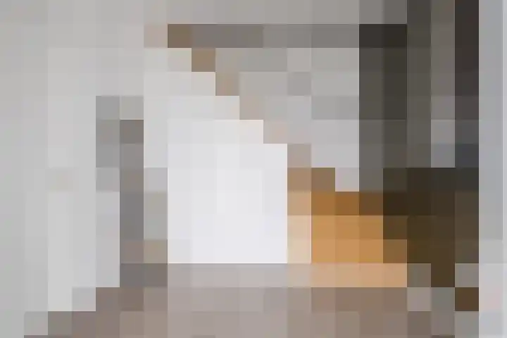 Fliere 54 Gemert thumbnail 7