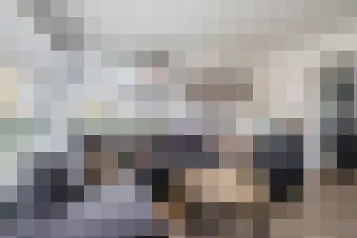 Fliere 54 Gemert thumbnail 8