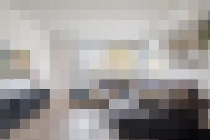 Fliere 54 Gemert thumbnail 9