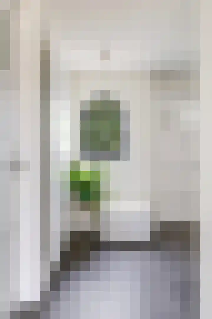 Flierenhofstraat 19 Bemmel thumbnail 11