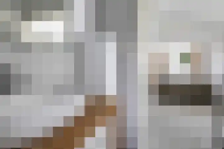 Flierenhofstraat 19 Bemmel thumbnail 33