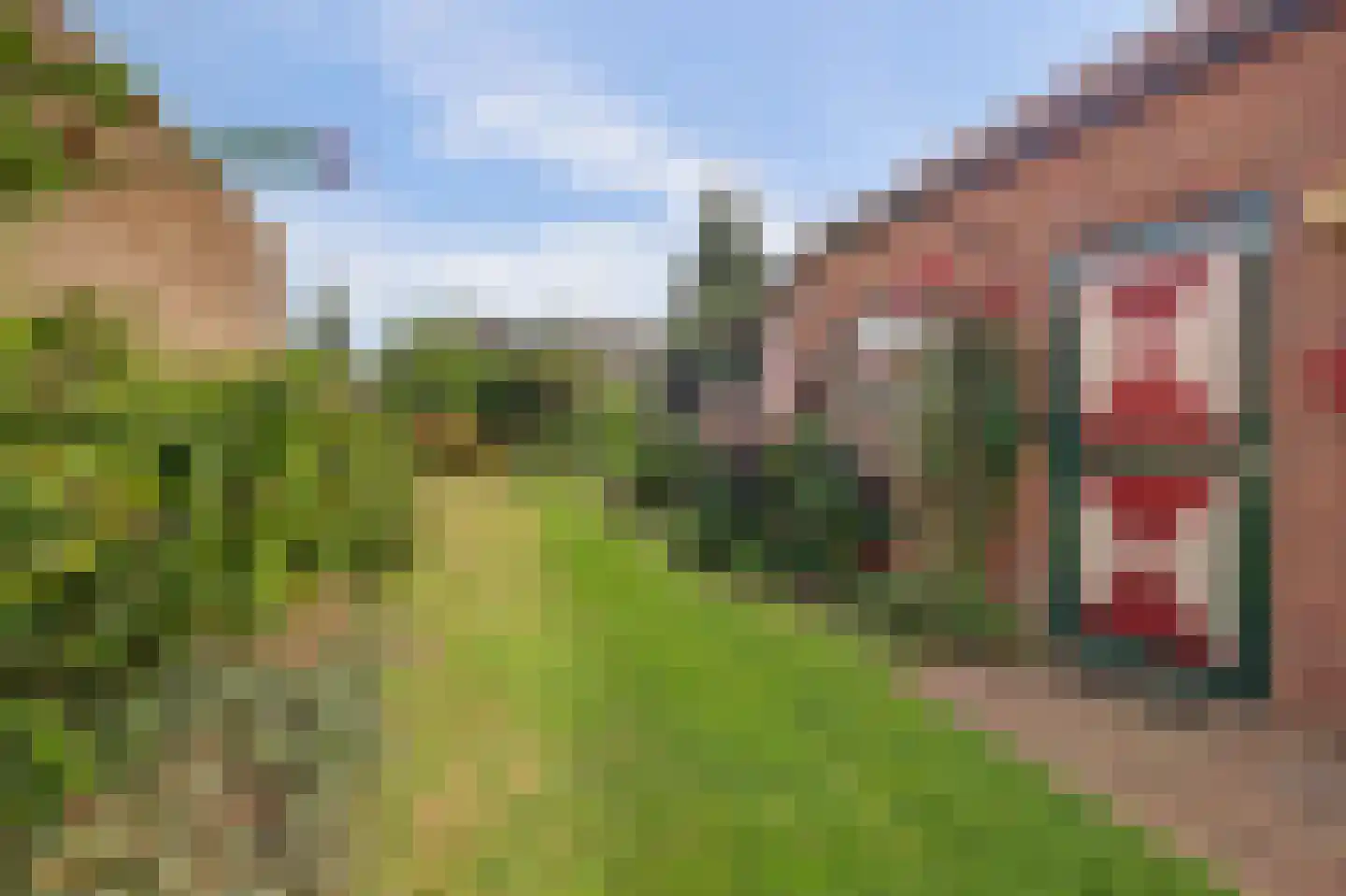 Flierenhofstraat 25 Bemmel thumbnail 20