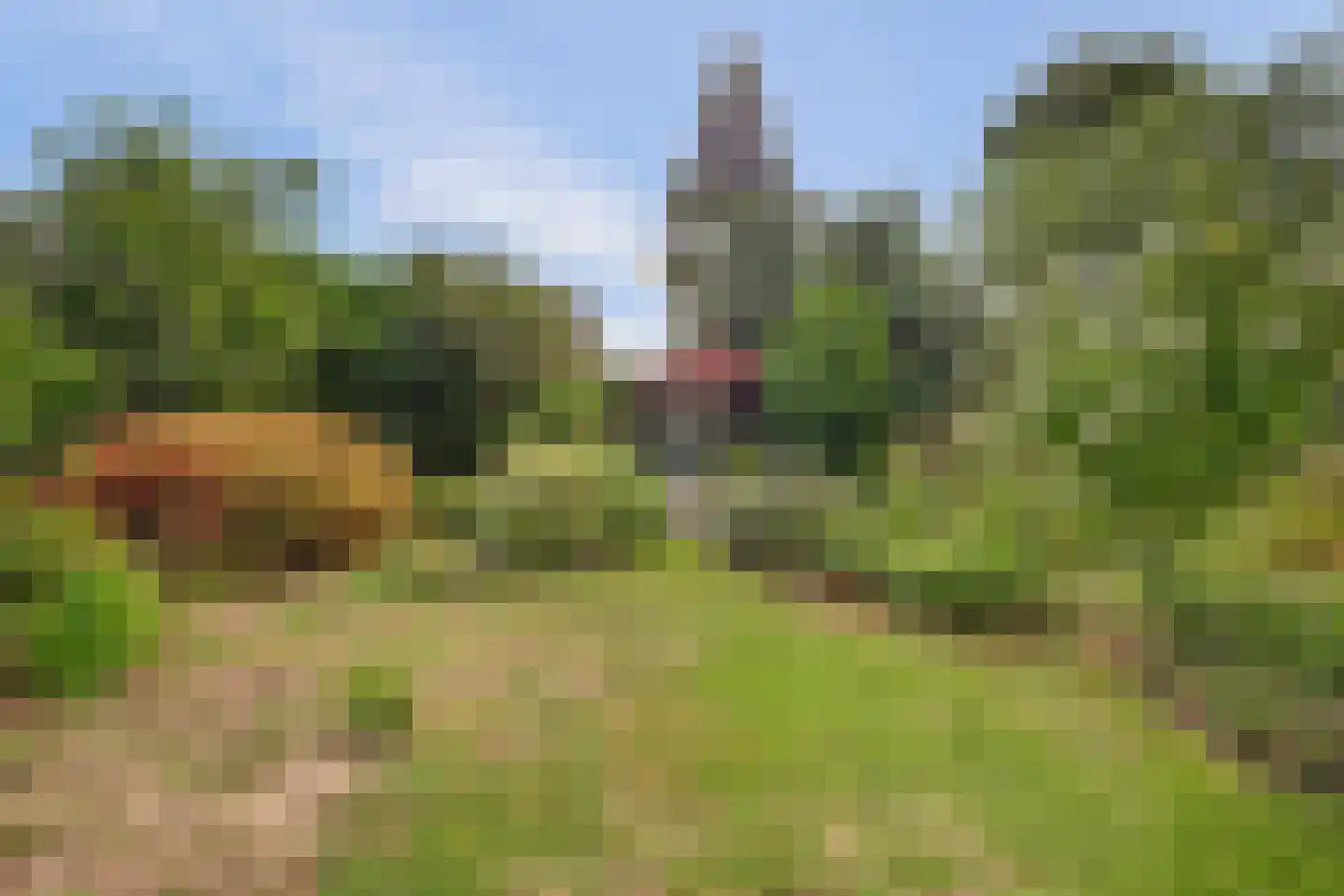 Flierenhofstraat 25 Bemmel thumbnail 24