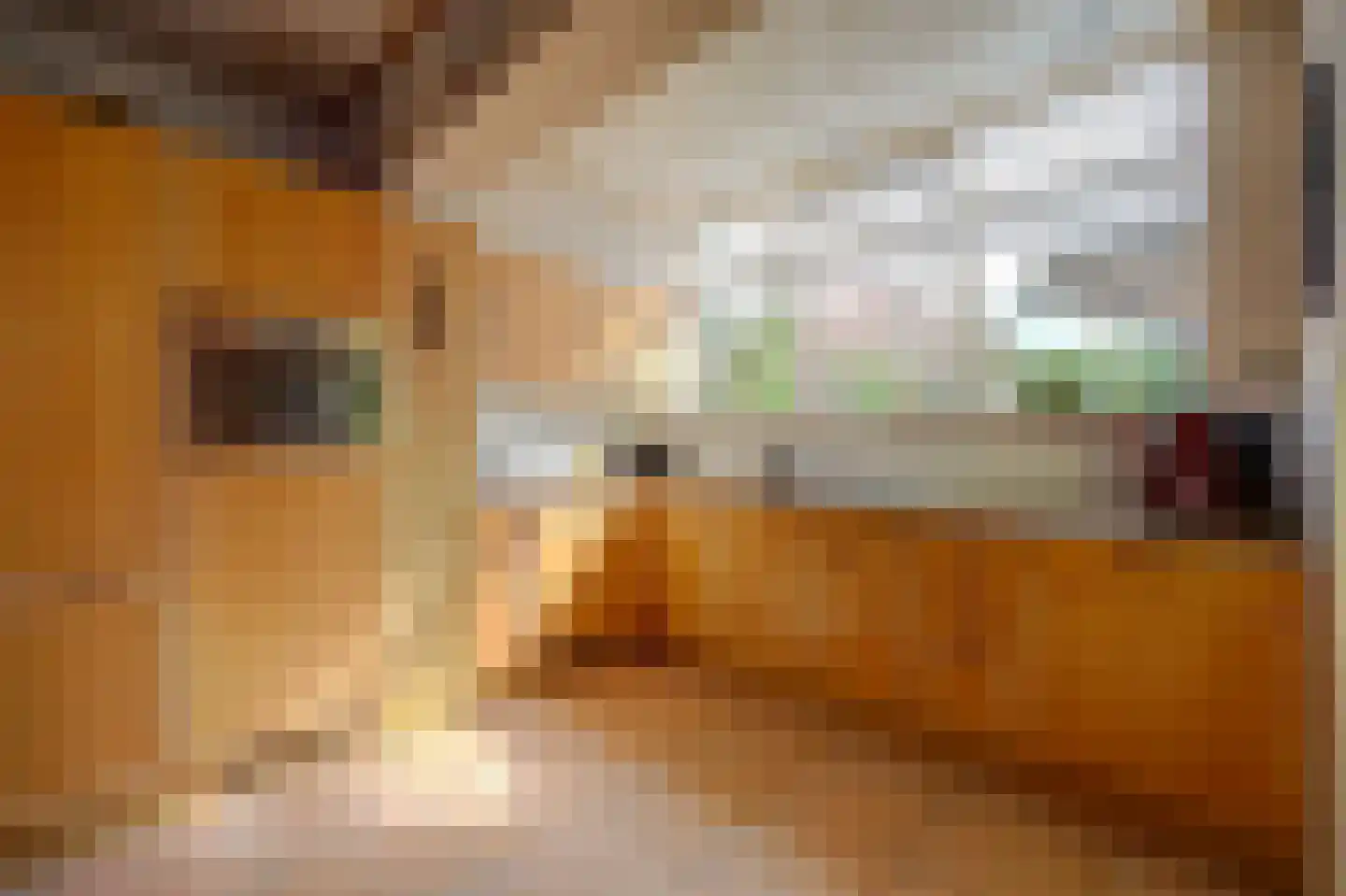 Flierenhofstraat 25 Bemmel thumbnail 4