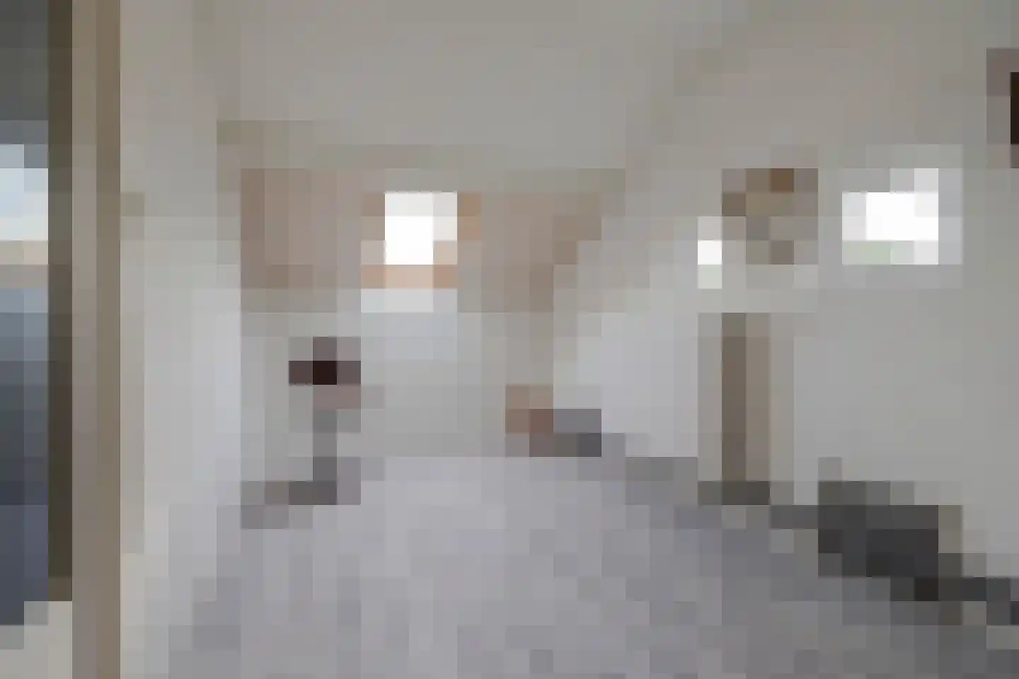 Flierenhofstraat 25 Bemmel thumbnail 46