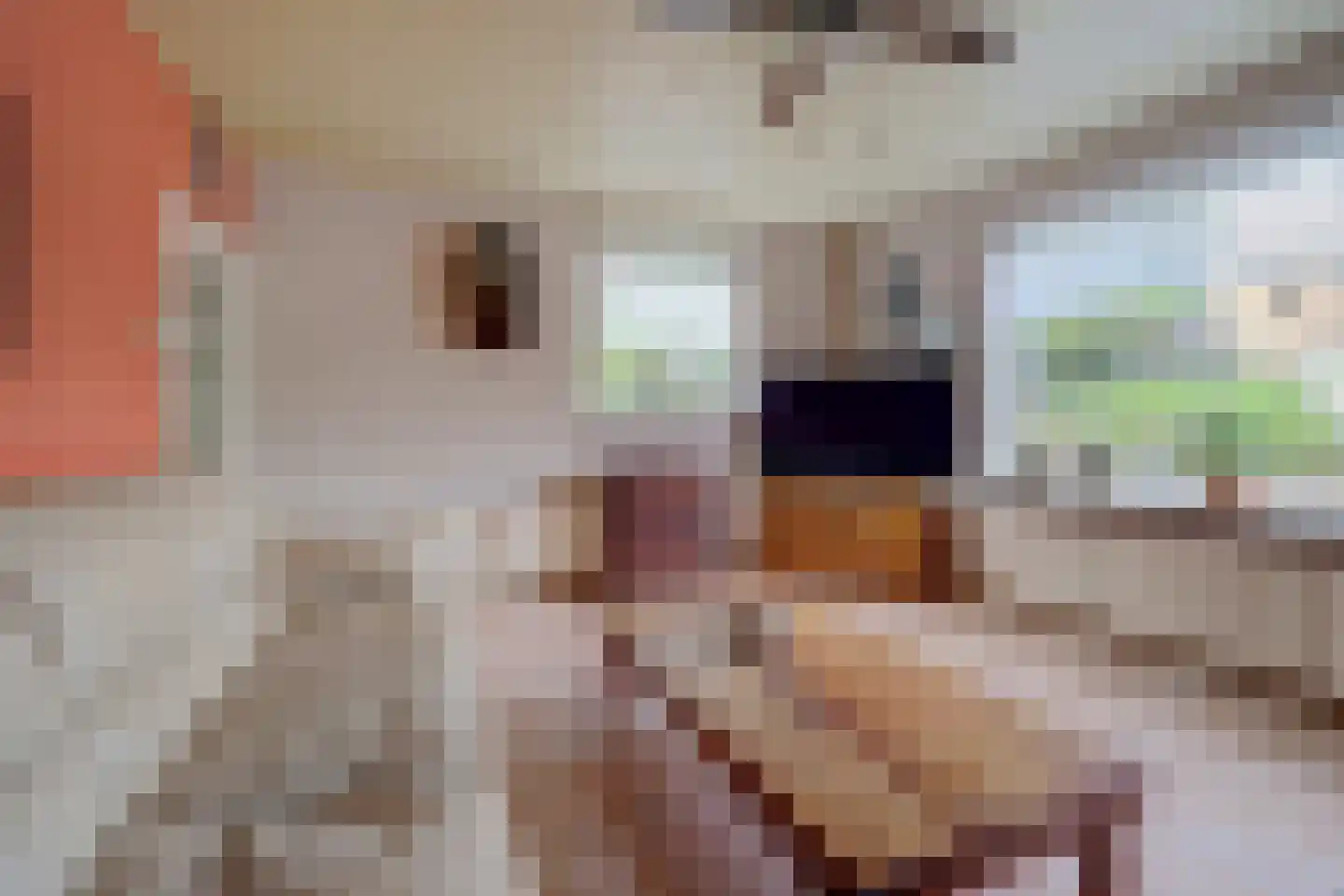 Flierenhofstraat 25 Bemmel thumbnail 9