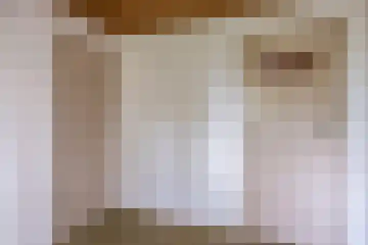 Flierensestraat 1 Gendt thumbnail 19