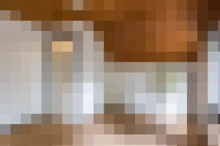 Flierensestraat 1 Gendt thumbnail 21
