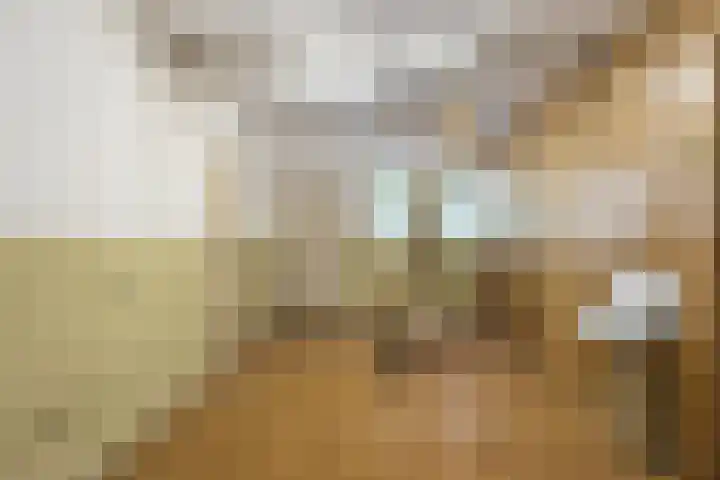 Flierensestraat 1 Gendt thumbnail 25
