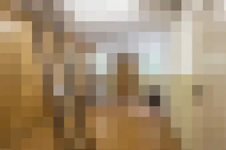 Flierensestraat 1 Gendt thumbnail 28