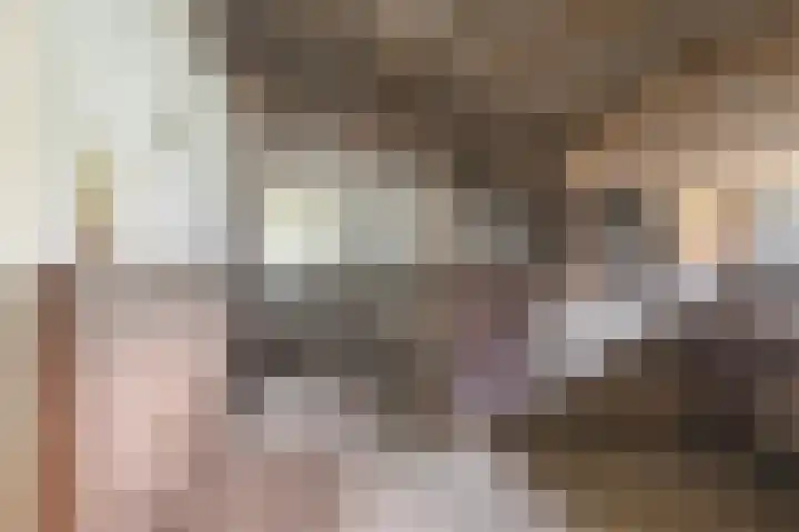 Flierensestraat 1 Gendt thumbnail 29