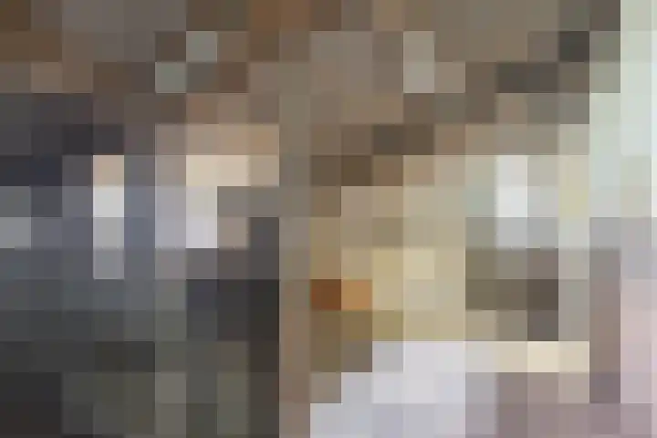 Flierensestraat 1 Gendt thumbnail 30