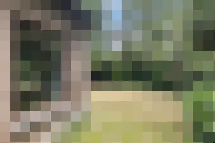 Flierensestraat 1 Gendt thumbnail 31