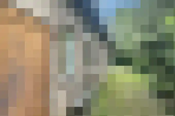 Flierensestraat 1 Gendt thumbnail 33