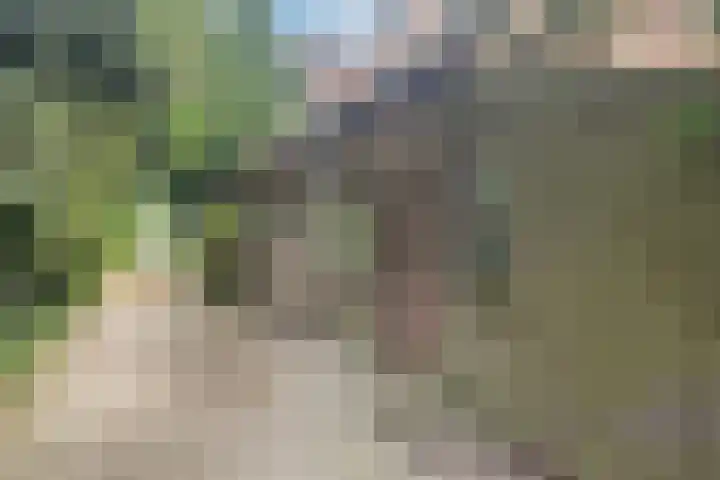 Flierensestraat 1 Gendt thumbnail 34