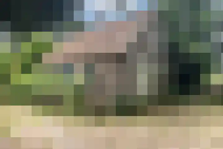 Flierensestraat 1 Gendt thumbnail 35