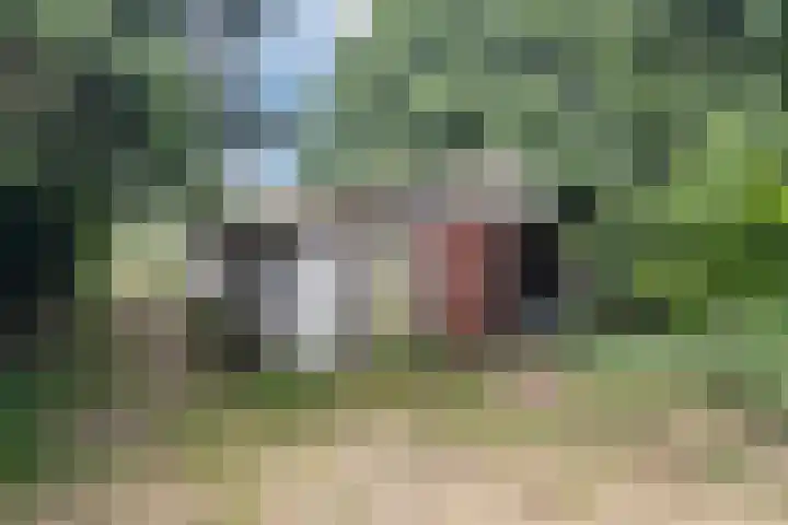 Flierensestraat 1 Gendt thumbnail 36