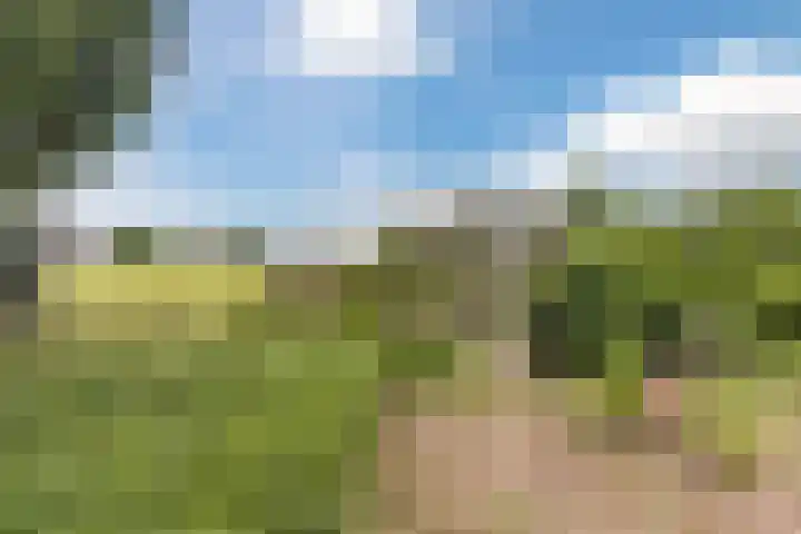 Flierensestraat 1 Gendt thumbnail 37