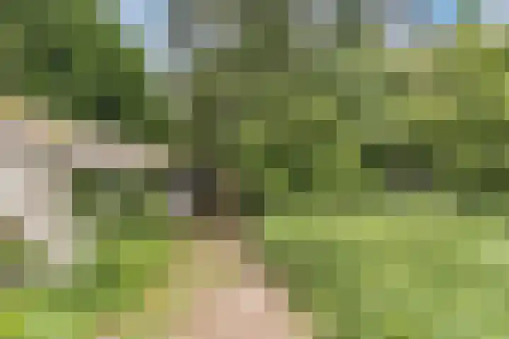 Flierensestraat 1 Gendt thumbnail 38