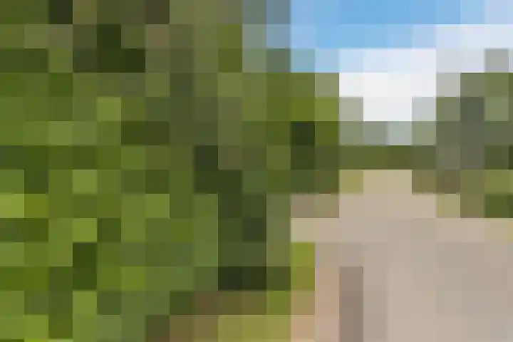Flierensestraat 1 Gendt thumbnail 39