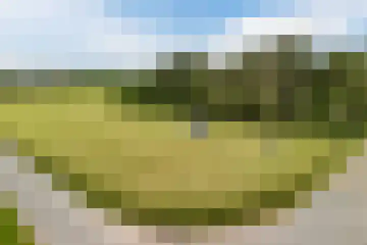 Flierensestraat 1 Gendt thumbnail 4