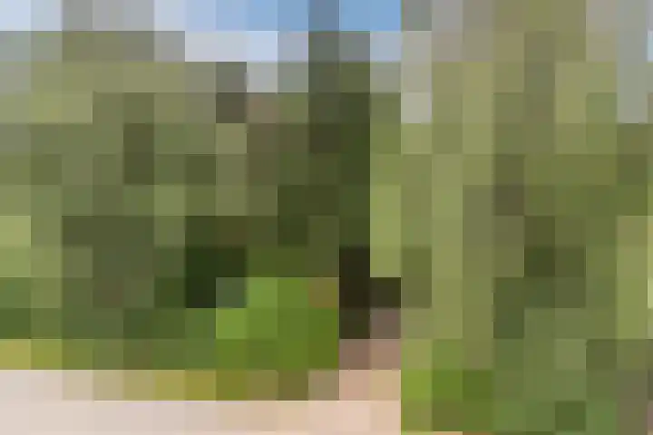 Flierensestraat 1 Gendt thumbnail 41