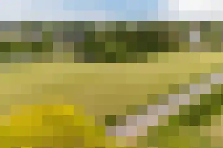 Flierensestraat 1 Gendt thumbnail 42