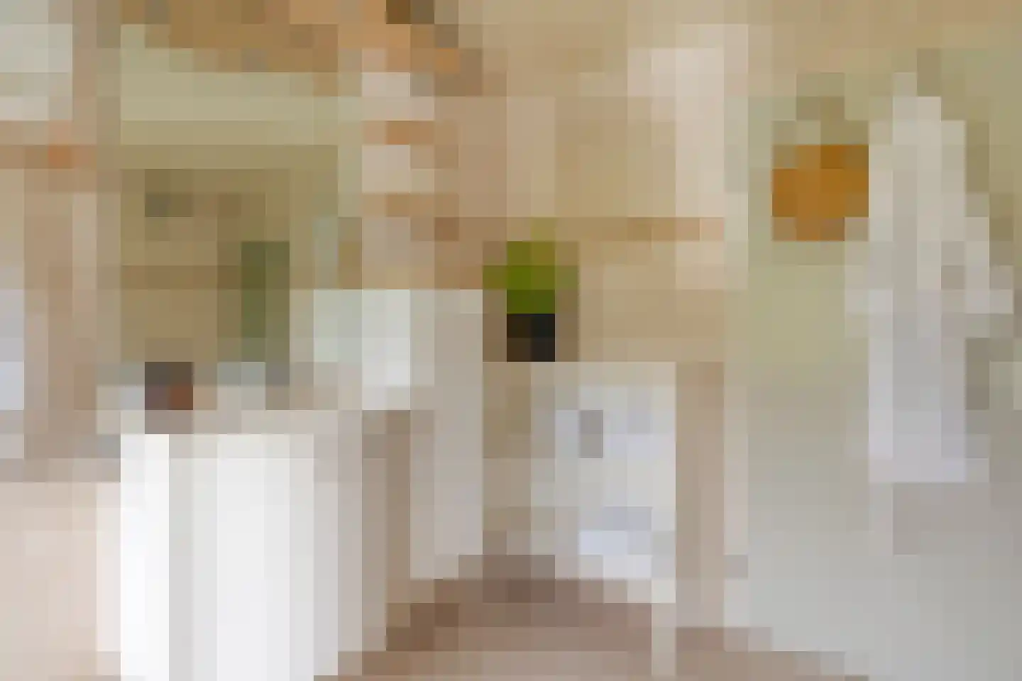 Flierensestraat 22 Gendt thumbnail 21