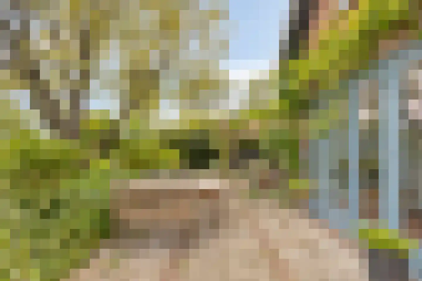 Flierensestraat 22 Gendt thumbnail 24