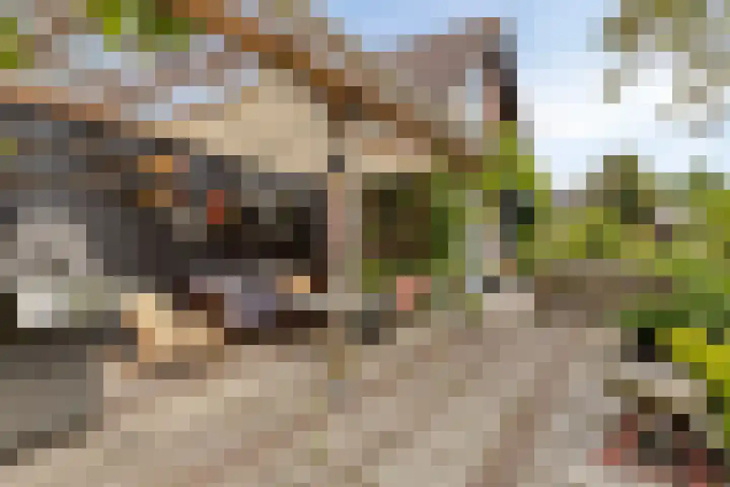 Flierensestraat 22 Gendt thumbnail 25